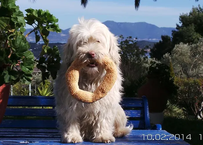 Panorama Appartamento