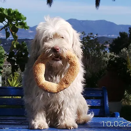 Panorama Apartamento